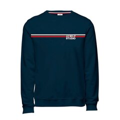 Детская толстовка Jack & Jones JJATLAS CREW NECK JNR 12232669 Тёмно Синий цена и информация | Свитеры, жилетки, пиджаки для мальчиков | 220.lv