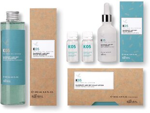 K05 трихологический шампунь для профилактики и лечения перхоти сухой кожи головы (250 мл) цена и информация | Шампуни | 220.lv