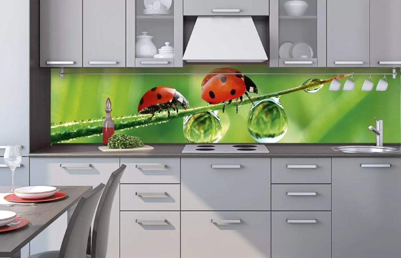 Pašlīmējošas fototapetes ar lamināciju- Ladybird, 260x60 cm цена и информация | Fototapetes | 220.lv