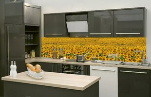 Pašlīmējošas fototapetes ar lamināciju- Saulespuķes, 260x60 cm cena un informācija | Fototapetes | 220.lv