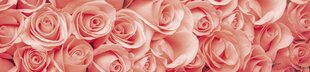 Самоклеящиеся фотообои (с ламинацией) - Розы, 260х60 см цена и информация | Фотообои | 220.lv