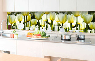 Самоклеящиеся фотообои (с ламинацией) - Белые тюльпаны, 350x60 см цена и информация | Фотообои | 220.lv