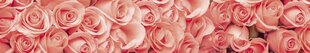 Самоклеящиеся фотообои (с ламинацией) - Розы, 350x60 см цена и информация | Фотообои | 220.lv