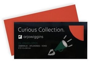 Декоративный конверт, Curious Metallics, DL, 120г/м² цена и информация | Конверты, открытки | 220.lv