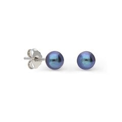 Sudraba auskari un pērlēm Silver Pearls sievietēm W62598762 цена и информация | Серьги | 220.lv