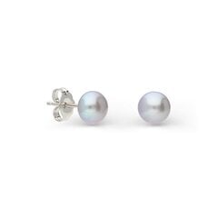 Sudraba auskari un pērlēm Silver Pearls sievietēm W62599426 cena un informācija | Auskari | 220.lv