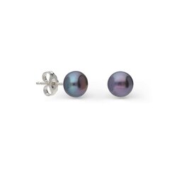 Sudraba auskari un pērlēm Silver Pearls sievietēm W53574590 cena un informācija | Auskari | 220.lv