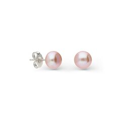 Sudraba auskari un pērlēm Silver Pearls sievietēm W62600547 цена и информация | Серьги | 220.lv