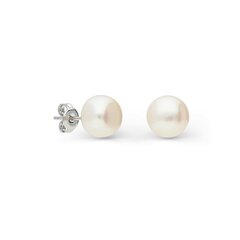 Sudraba auskari un pērlēm Silver Pearls sievietēm W62603863 cena un informācija | Auskari | 220.lv