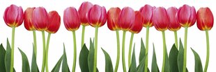 Самоклеящиеся фотообои (с ламинацией) - Красные тюльпаны, 180x60 cm цена и информация | Фотообои | 220.lv