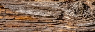 Самоклеящиеся фотообои (с ламинацией) - Деревянная структура, 180x60 cm цена и информация | Фотообои | 220.lv