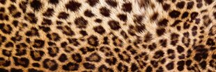 Самоклеящиеся фотообои (с ламинацией) - Леопардовая шкура, 180x60 cm цена и информация | Фотообои | 220.lv