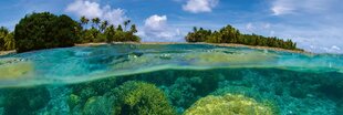 Самоклеящиеся фотообои (с ламинацией) - Коралловый риф, 180x60 cm цена и информация | Фотообои | 220.lv