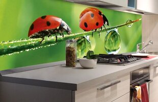 Pašlīmējošas fototapetes ar lamināciju- Ladybird, 180x60 cm cena un informācija | Fototapetes | 220.lv