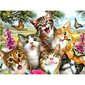Dimantu mozaīkas komplekts - Smieklīgi kaķi, 40x30 cm cena un informācija | Dimantu mozaīkas | 220.lv