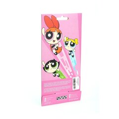 Cartoon Network The Powerpuff Girls Silicone Case for Apple iPhone X / XS Bubbles cena un informācija | Telefonu vāciņi, maciņi | 220.lv