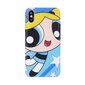 Cartoon Network The Powerpuff Girls Silicone Case for Apple iPhone X / XS Bubbles cena un informācija | Telefonu vāciņi, maciņi | 220.lv