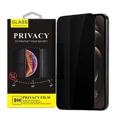 Care It aizsargstikls iPhone 12 Privacy cena un informācija | Ekrāna aizsargstikli | 220.lv