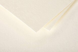 Декоративный конверт Pollen, Clairefontaine, DL (110x220мм), 120гр, глянцевый, кремовый сп. цена и информация | Конверты, открытки | 220.lv