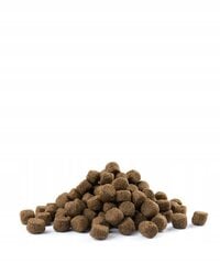 Versele Laga Opti Life Adult suņiem, ar jēra gaļu un rīsiem, 12,5 kg cena un informācija | Sausā barība suņiem | 220.lv