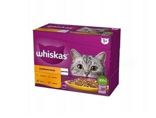 Whiskas ar vistu, pīli, mājputnu un tītaru, 48x85 g cena un informācija | Konservi kaķiem | 220.lv