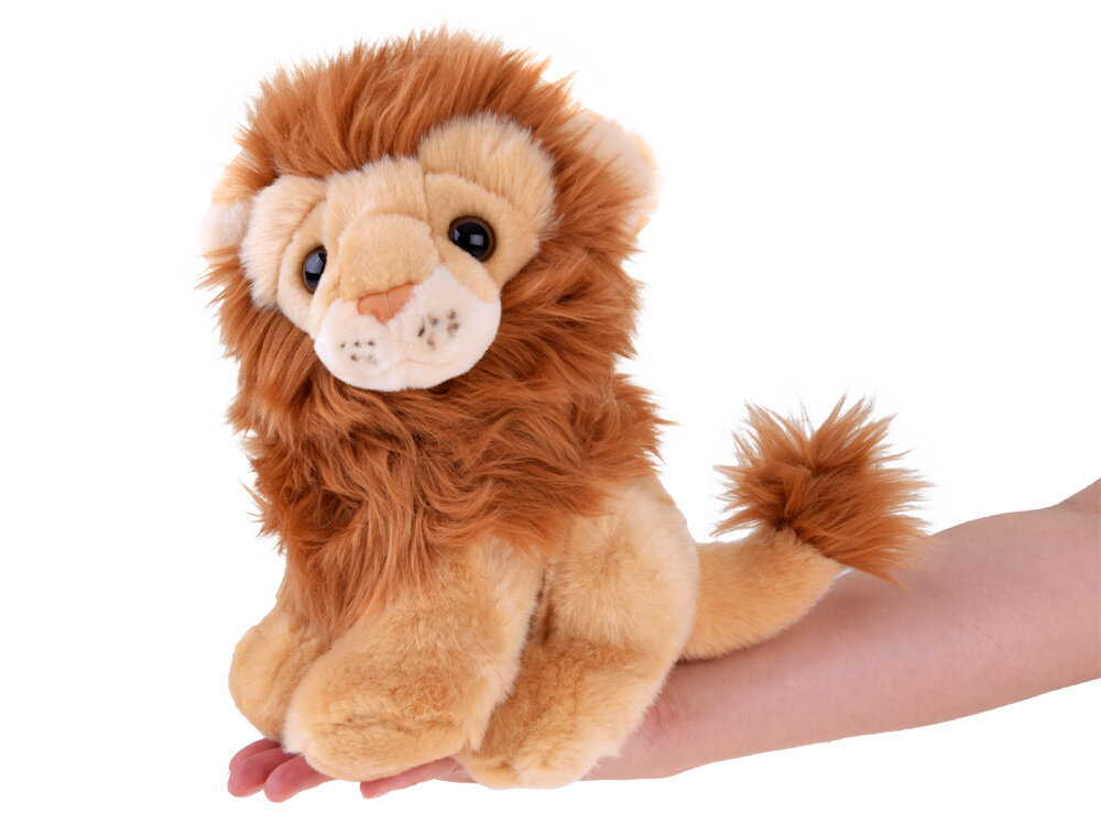 Plīša rotaļlieta lauva, 20 cm цена и информация | Mīkstās (plīša) rotaļlietas | 220.lv