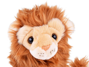 Плюшевая игрушка лев, 20 см цена и информация | Мягкие игрушки | 220.lv