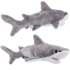 Плюшевая игрушка акула, 36 см цена и информация | Мягкие игрушки | 220.lv