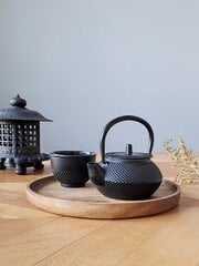 Чугунный чайник, 300 мл цена и информация | Чайники, кофейники | 220.lv