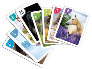 Izglītojošā spēle Peter Card - Zirgi цена и информация | Развивающие игрушки | 220.lv