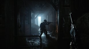 Hunt: Showdown : Limited Bounty Hunter Edition PS4 игра цена и информация | Компьютерные игры | 220.lv