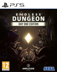 Компьютерная игра Endless Dungeon (Day One Edition) для Xbox Series X / Xbox One цена и информация | Компьютерные игры | 220.lv