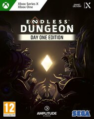 Endless Dungeon, Day One Edition cena un informācija | Datorspēles | 220.lv