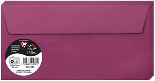 Декоративный конверт Pollen, Clairefontaine, DL (110x220мм), 120г/м2, малина цена и информация | Конверты | 220.lv