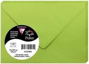 Декоративный конверт Pollen, Clairefontaine, 75х100мм, 120г/м2, ярко-зеленый цена и информация | Конверты, открытки | 220.lv