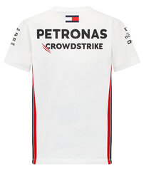 Детская футболка Mercedes AMG Petronas F1 2023 70382-Z цена и информация | Рубашки для мальчиков | 220.lv