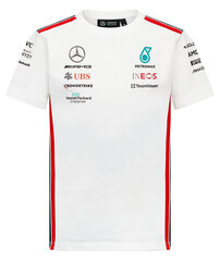 Детская футболка Mercedes AMG Petronas F1 2023 70382-Z цена и информация | Рубашки для мальчиков | 220.lv