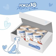 Forza10 консервы для собак с кониной, тыквой и цукини, 6 шт х 400г цена и информация | Консервы для собак | 220.lv