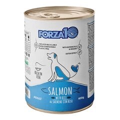 Forza10 Maintenance для собак с лососем и рисом, 12 шт x 400г цена и информация | Консервы для собак | 220.lv