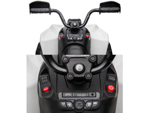 Электрический квадроцикл TERRAIN QUAD, белый цена и информация | Электромобили для детей | 220.lv