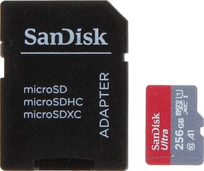 SanDisk SSD-MICRO-10/256-SAND цена и информация | Карты памяти для фотоаппаратов | 220.lv