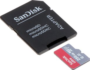 SanDisk SSD-MICRO-10/256-SAND cena un informācija | Atmiņas kartes fotokamerām | 220.lv