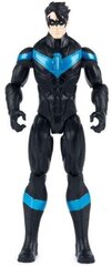 Figūriņa Batman DC Comics Nightwing, 30 cm цена и информация | Конструктор автомобилей игрушки для мальчиков | 220.lv