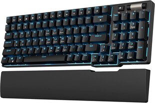 Mechanical keyboard Royal Kludge RK96 RGB, red switch (blue) цена и информация | Клавиатуры | 220.lv
