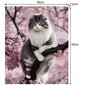 Glezna pēc cipariem Kaķis, 40x50cm цена и информация | Gleznas pēc numuriem | 220.lv
