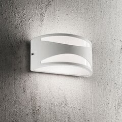 Ideal Lux lampa Rex-3 Ap1 Bianco 92430 цена и информация | Настенные светильники | 220.lv