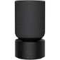 Bang & Olufsen Beosound Balance Black Oak 1200503 цена и информация | Skaļruņi | 220.lv