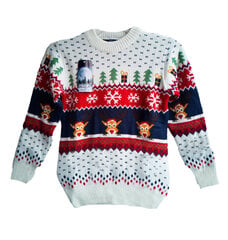 Рождественский детский свитер, белый цена и информация | Свитеры, жилетки, пиджаки для девочек | 220.lv