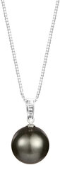 Sudraba kaklarota ar pērli sievietēm JwL Luxury Pearls JL0567 cena un informācija | Kaklarotas | 220.lv