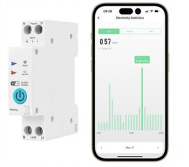 Предохранитель 16А TUYA Smart WiFi Switch, счетчик потребления электроэнергии цена и информация | Электрические выключатели, розетки | 220.lv